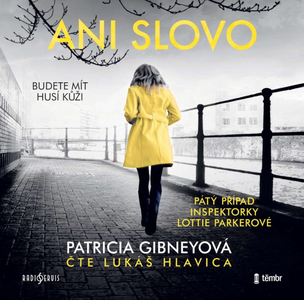 audiokniha-ani-slovo