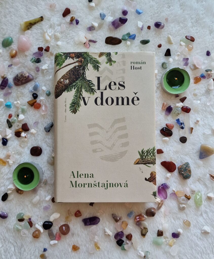 les-v-dome-alena-mornstajnova